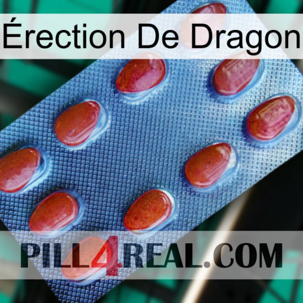 Érection De Dragon 06